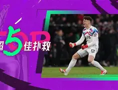 格雷西巴哈战队城市赛