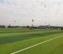 绿茵场上对决激烈,球队足坛巨星出色表现怎么样 绿茵场上对决激烈,球队足坛巨星出色表现怎么样
